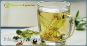 Ihlamur Kaynatma
