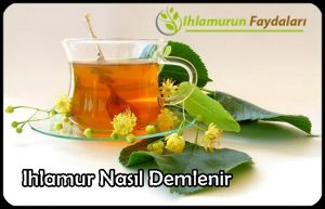 Ihlamur Nasıl Demlenir