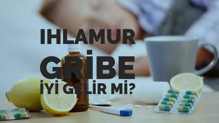 Ihlamur Gribe İyi Gelir mi?