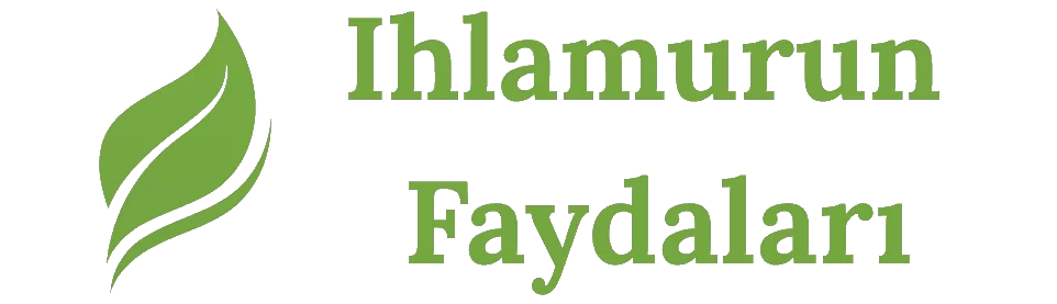 Ihlamurun Faydaları